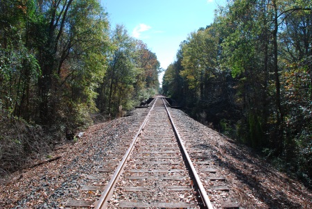 The railroad tracks escapee McNair walked down within hours of his escape. Photo taken north of Tioga, Louisiana.